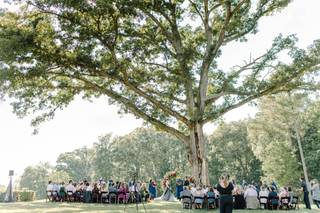 Wolfcrest Photography - 7