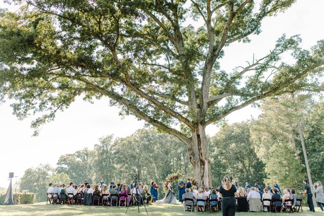 Wolfcrest Photography - 3