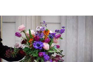 Phlox Tale Studio - 41