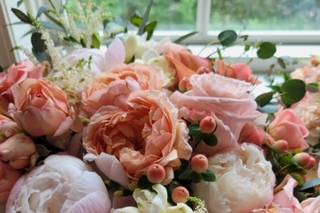 Reale Events - 14