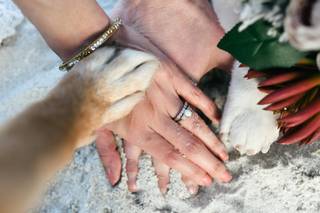 Photos For Hearts Photography - 114