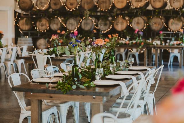 Bella Terra Vineyards 3