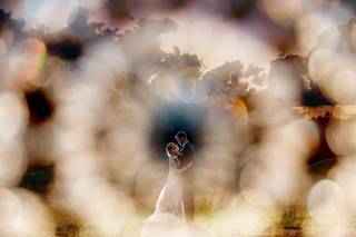 Boxcar Photography - 33