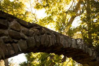 Cassondre Mae Photography - 57