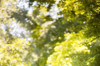 Cassondre Mae Photography - 103