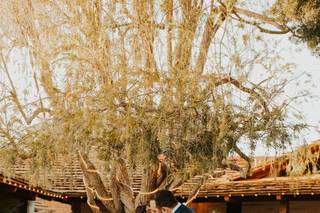 The Old Rancho - 44