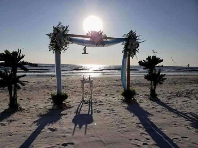 Florida Paradise Weddings - 4
