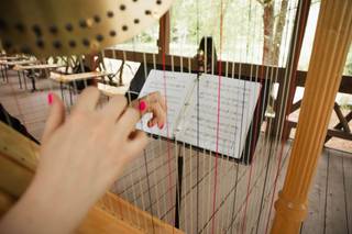 Carolina Music Planner - 24