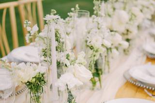 A White Orchid Wedding - 5