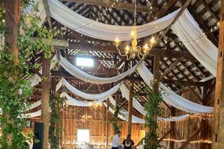 Wild Fern Boutique - 15