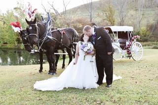 Horsing Round Carriage Service - 10