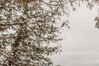 Abigail Grey Photography - 25