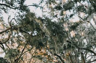 JD Photography - 6