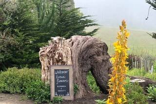 Switzer Farm - 34