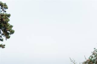 Sandy and Odysseas Photography - 71