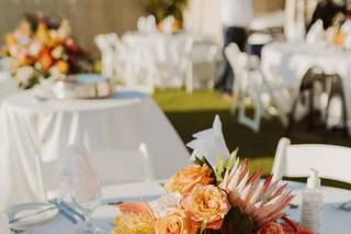 Sunya's Flowers & Plants - 13