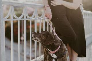MAXWELLSTUDIOS PHOTOGRAPHY - 16