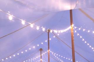 Taylor Rental Party Plus - 6