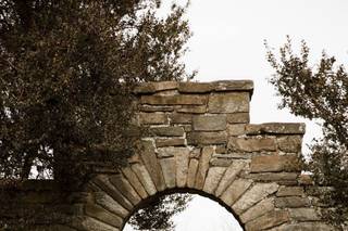 Paperbird Photography - 99