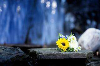WindsweptPhotoDesign - 11
