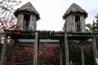 Luthy Botanical Gardens - 9