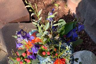 Amore Fiori Flowers and Gifts - 56