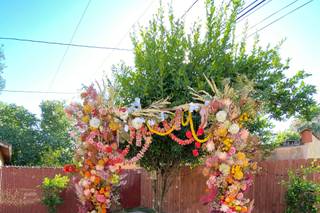 Inessa Nichols Design - 14