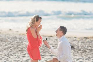 Sun & Sparrow Photography - 36
