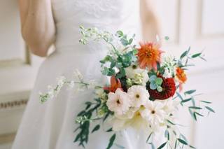 David Abel Photography - 7