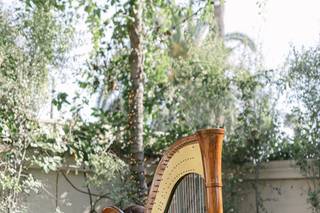Valerie Saint Martin, Harpist & Opera Singer - 13