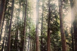 Kitsap Memorial State Park - 1