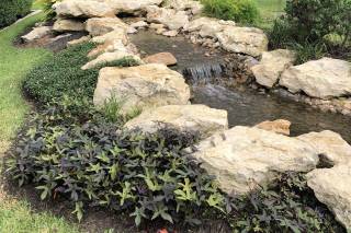 The Springs in Angleton - 38