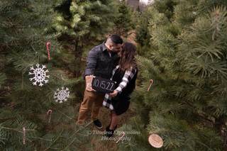 Timeless Expressions Photography - 13