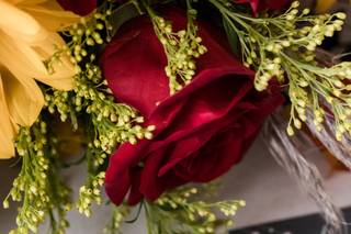 lindseyarmourphotography - 22