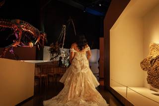 The Houston Museum of Natural Science - 6