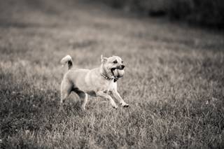 City and Country Photography - 22