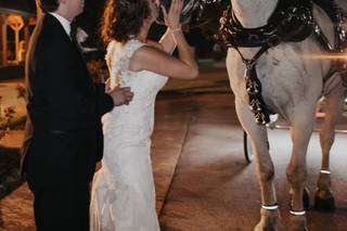Ava K's Carriage Service L.L.C. - 7