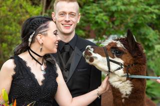 Saint Louis Zoo - 12