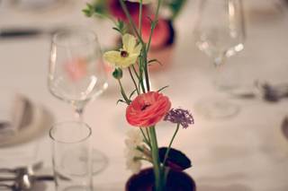 Molly Oliver Flowers - 12