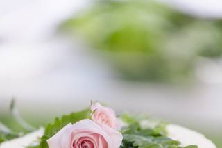 Reiman Photography - 18