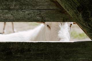 Pat Furey Photograhy - 5