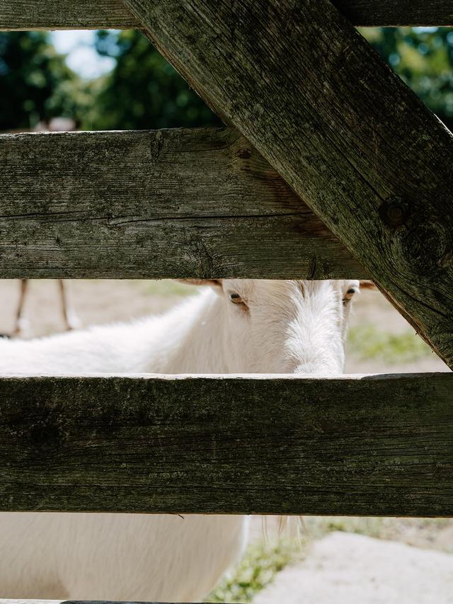 Pat Furey Photograhy - 2