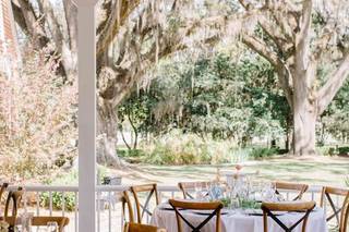 Carolyn Allen Photography - 7