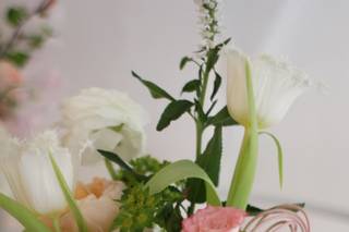 Wild Fleurette - 36