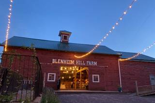 BLENHEIM HILL FARM - 49