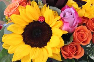 Perkasie florist - 29