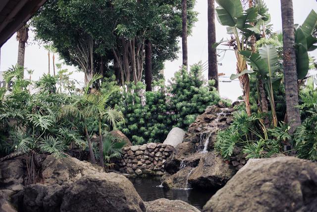 Seiichi's Photography - 1