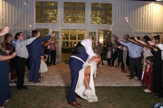 Southern Honeybee Photography - 36