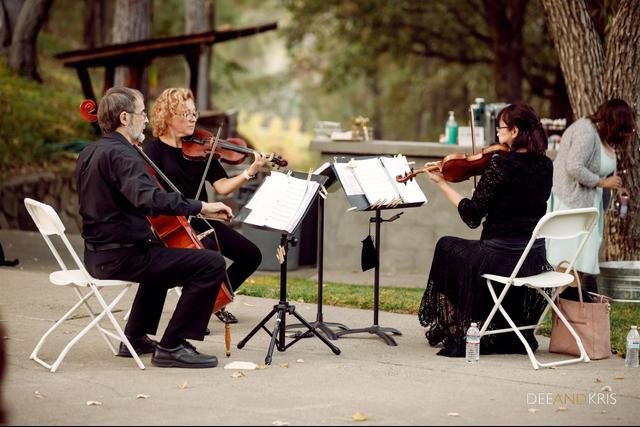 Harmony Strings - 1