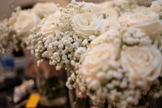 Bella Bloom, a Floral Concept - 1
